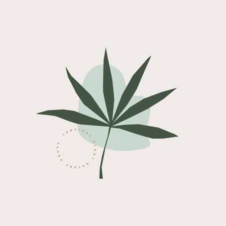 Exotic leaf and freehand shapes composition in pastel colors. Minimalistic botanical image for ecological design. Organic abstract emblem on a light background. Vector illustration.のイラスト素材