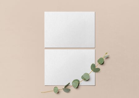 Two white postcards and a branch of eucalyptus on a nude background. Template for branding identity. Branding Mock Up. Blank objects for placing your design. Flat lay. Top view. 3d illustration.の写真素材