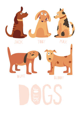 Image on the topic pets. Set of funny cartoon dogs of different breeds.のイラスト素材