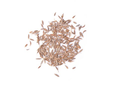 Fennel dry seeds isolated on white backgroundの写真素材