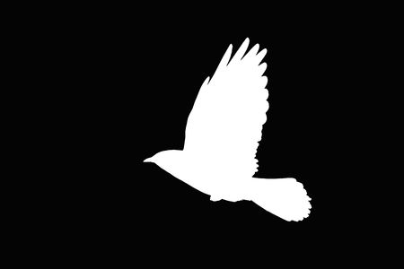 Illustration from a silhouette of a flying dawの写真素材