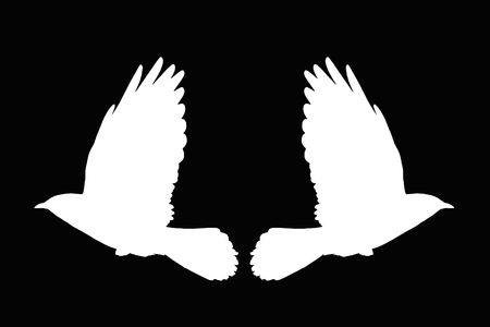 Illustration from a silhouette of a flying daw