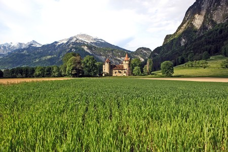 Old swiss castle in the country surrounded by planted fields, forests and mountains の写真素材
