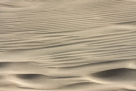 Background of a sand dune の写真素材