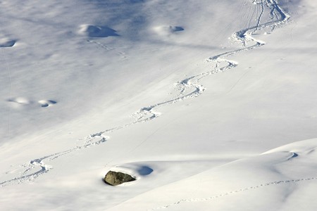 Close view of fresh ski tracks in the powder snowの写真素材