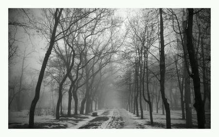 Sity park at winter in Mykolayv, Ukraine.の素材