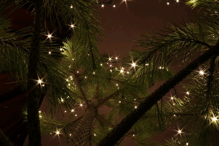 Lights like starsの素材