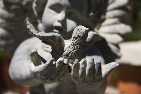 Angel boy holds pigeon in hands.の写真素材