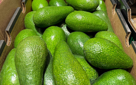 colorful fruit display, colorful assortment featuring vibrant fruits and carefully arranged avocados, lively display showcasing array of colorful fresh fruits alongside ripe avocadosの写真素材