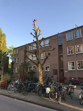 Amsterdam, Netherlands, May 8, 2018, city neighborhood with cycling amenities, residential area showcasing bicycles and peaceful atmosphereのeditorial素材