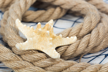 White starfish and rope