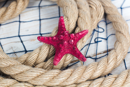 red starfish and ropeの写真素材