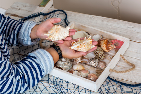 Children's hands hold the vest seashells of different colors