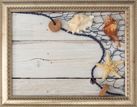 frame for picture with seashells and marine network, view from above
