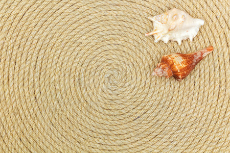shells and sea network lie on background made of rope, flat layの写真素材