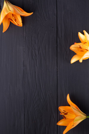 frame of flowers, background black boards, copyspaceの写真素材