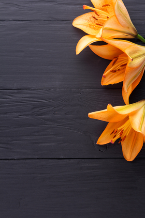 frame of flowers, background black boards, copyspaceの写真素材