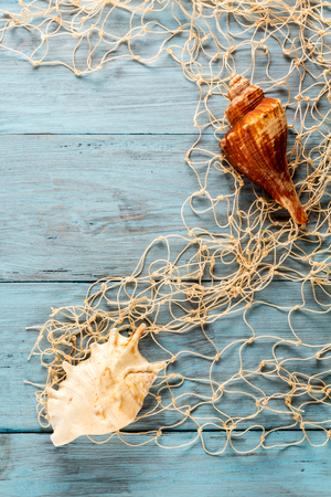 Marine Network and shells on blue boards, flat layの写真素材