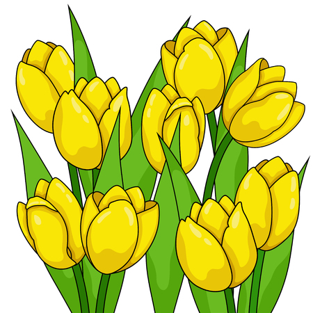 Spring flowers. Tulipsのイラスト素材