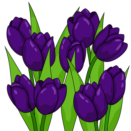 Spring flowers. Tulipsのイラスト素材