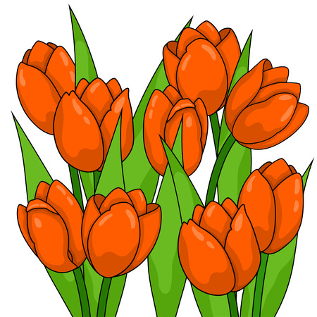 Spring flowers. Tulipsのイラスト素材