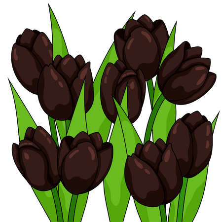 Spring flowers. Tulipsのイラスト素材