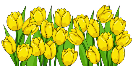 Spring flowers. Tulipsのイラスト素材