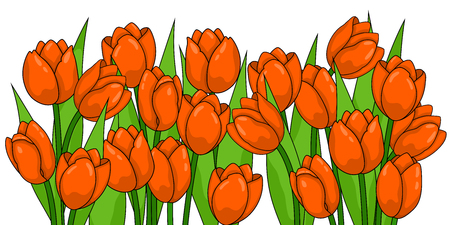 Spring flowers. Tulipsのイラスト素材