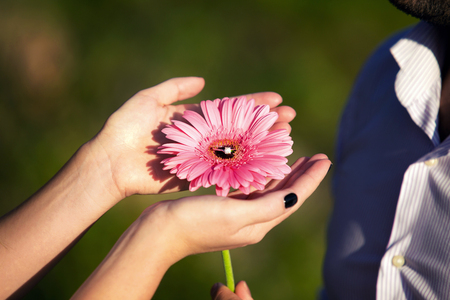 engagement ring on a flower in the hands of the brideの写真素材
