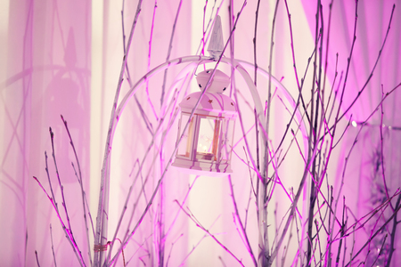 Wedding decor. White decorative lamp, branches of a tree and violet lightの写真素材