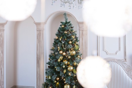 light room with classical interior and a Christmas fir-treeの写真素材