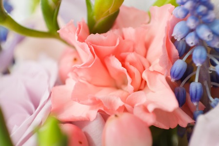 beautiful pink flowers in a bouquet close upの写真素材