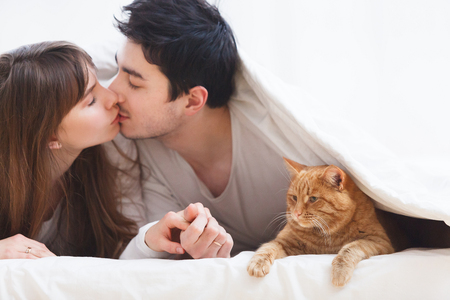 Family and relationship concept. Pretty young caucasin couple kiss each other covered by a warm white blanket in the cozy house with big ginger cat. Saint Valentine's dayの写真素材