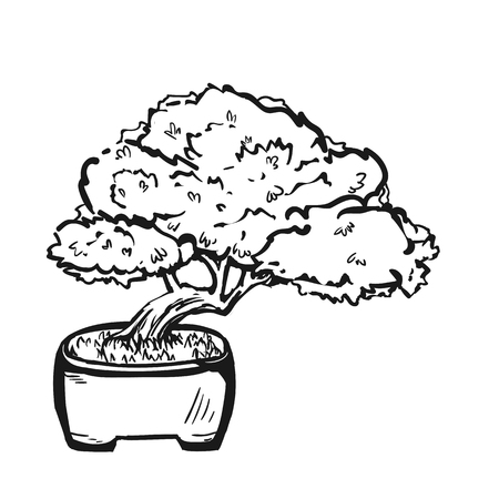 Handdrawn decorative asian bonsai tree in the pot with  semi cascade curved trunk.のイラスト素材