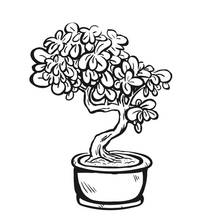 Handdrawn decorative asian bonsai tree in the pot with curved trunk and evergreen foliage.のイラスト素材