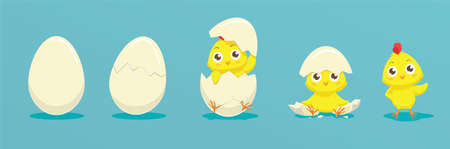 Chicken hatching from the egg. Cartoon baby chick birthday step-by-step process. Funny and educational illustration for kidsのイラスト素材