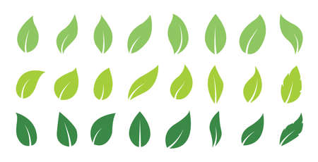Green abstract leaf icons. Natural greens young plants pictograms and leaf or forest branch leaves. Vector isolated icons setのイラスト素材