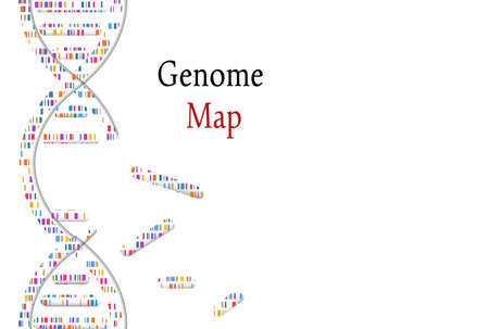 DNA test, genom map. Mosaic genome and distressed stamp seal with Genome phrase. Vector illustrationのイラスト素材