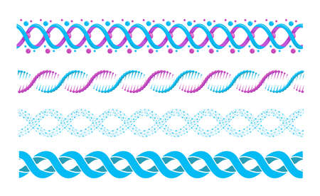 DNA spiral. Vector twisted spiral or helical structure of chromosome cells, human genesのイラスト素材