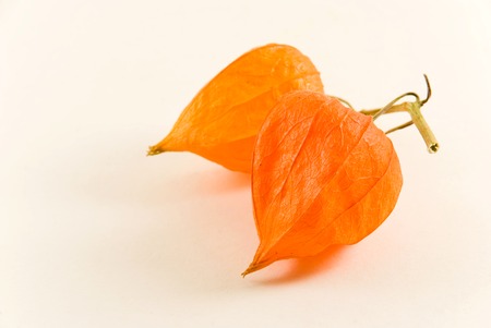 orange physalis- isolated on whiteの写真素材