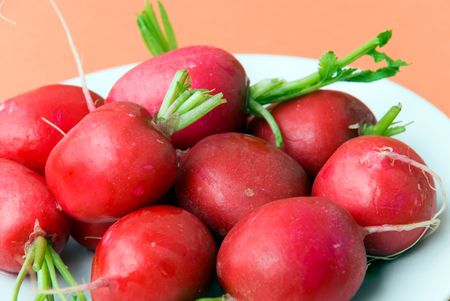 radish on the plate