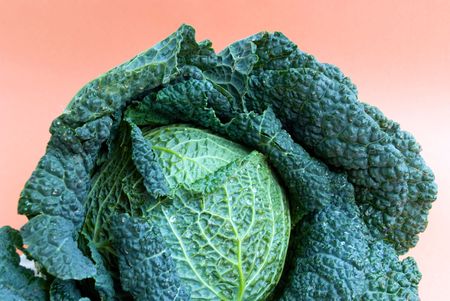 fresh   cabbageの写真素材