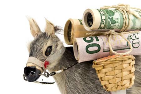 donkey with big money