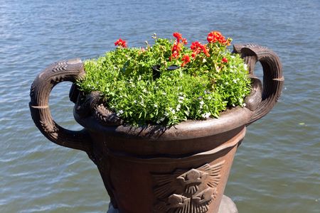 Flower Pot, in Stockholm,Swedenの写真素材