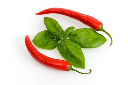 Some long curved red chili peppers isolated on the white backgroundの写真素材