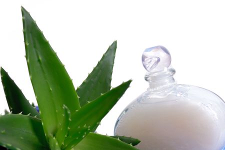 aloe with gel and aromatherapyの写真素材