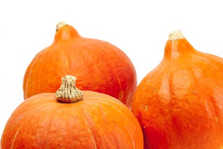 pumpkin on the white background,isolated on whiteの写真素材
