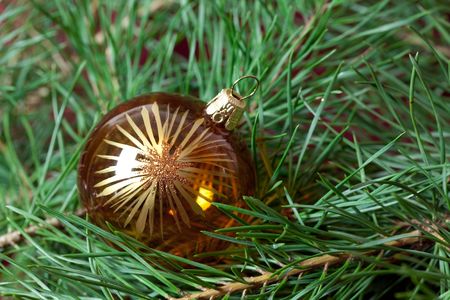 glass bauble on the fir branchesの写真素材