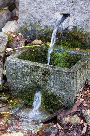 At a source of the mountain riverの写真素材