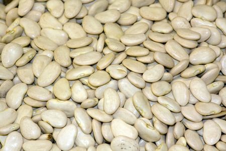 Heap of dried white haricots close-up as background.